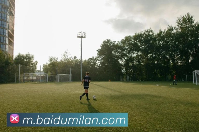 米兰体育平台生态图