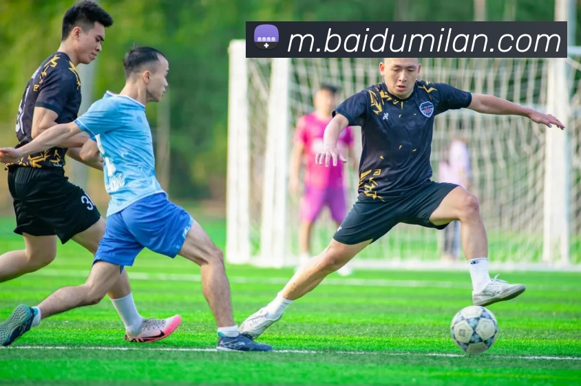 米兰体育APP 封面图